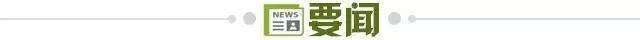 ylzz总站线路检测展示图片