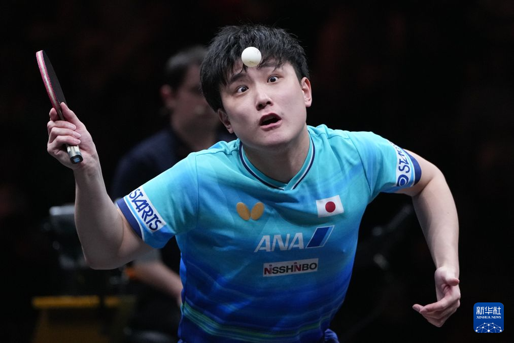 ylzzcom永利总站线路检测相关图片