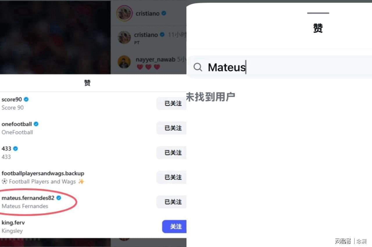 ylzz总站线路检测展示图片
